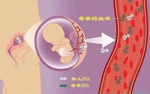 血液做南宁亲子鉴定准确吗？大概多久出结果？